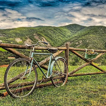 Claveria * Биньес